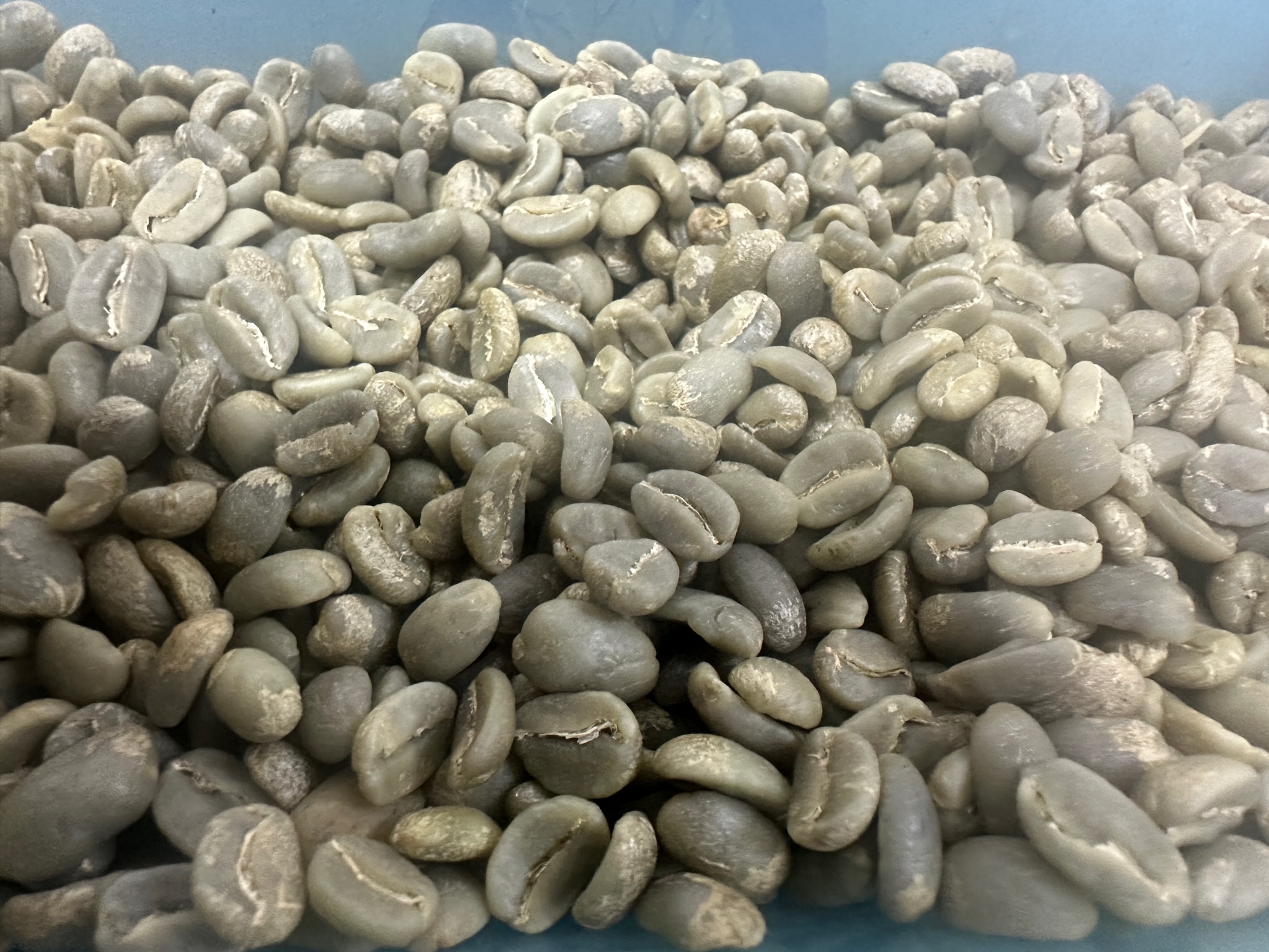 Mr. Capacho Coffee