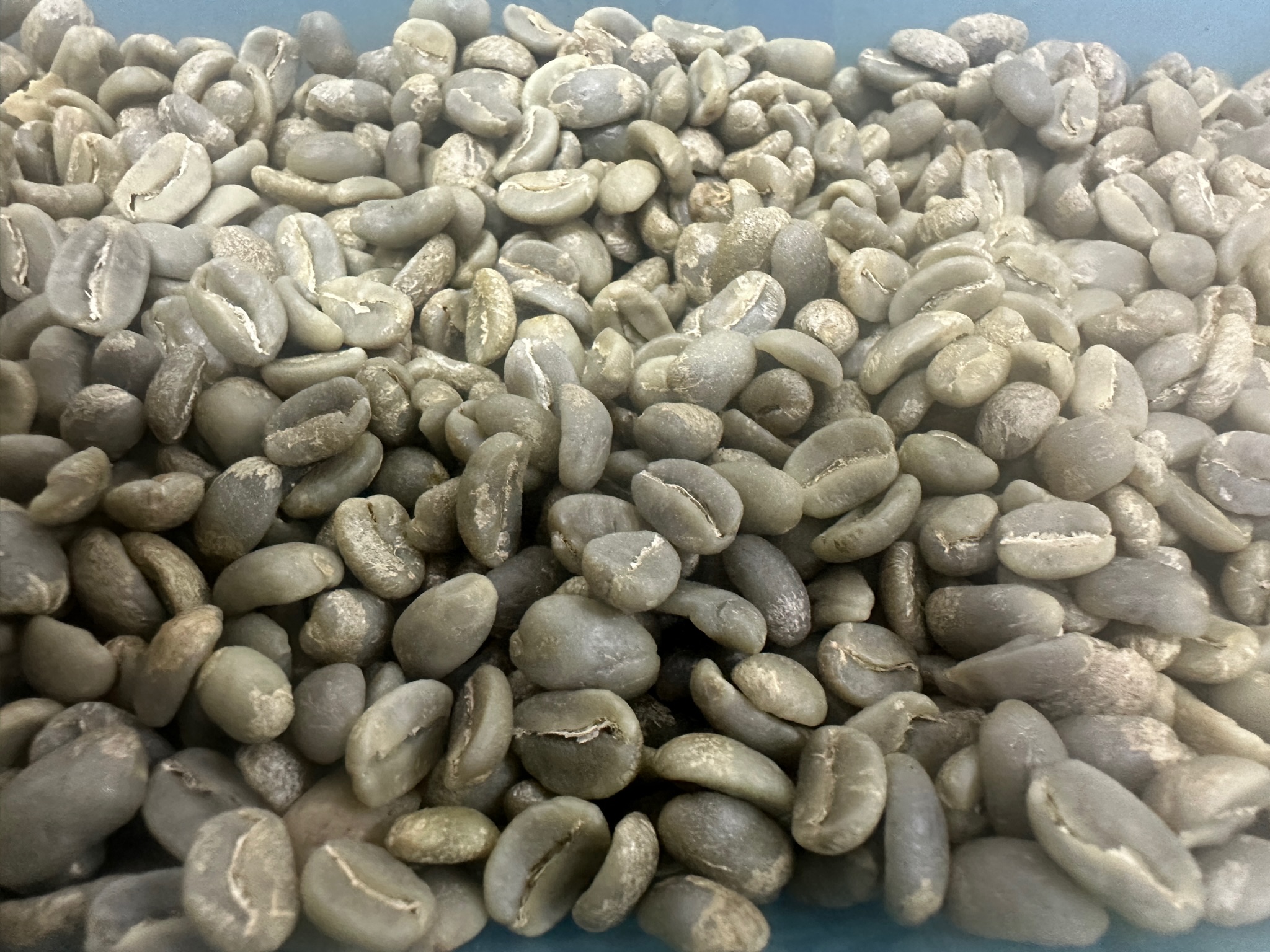 Fincas cafeteras Huila