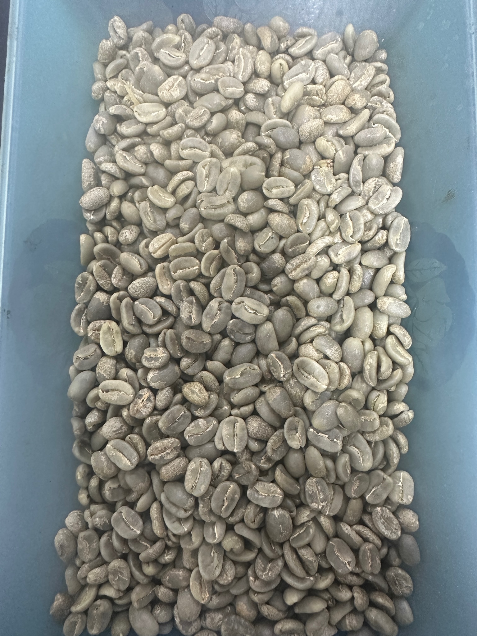 Mr. Capacho Coffee