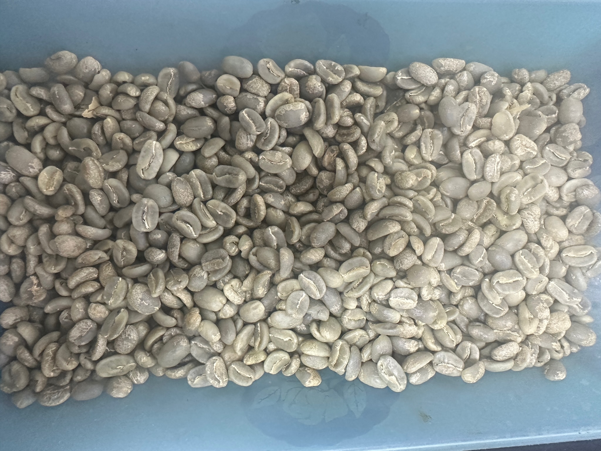 Mr. Capacho Coffee